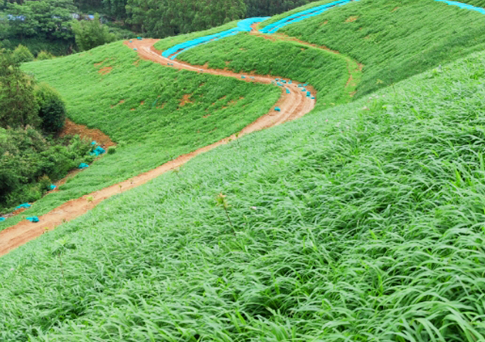 南嶺國家公園環(huán)丹霞山片區(qū)生態(tài)環(huán)境系統(tǒng)保護修復工程（湞江區(qū)煤矸石礦區(qū)遺址生態(tài)環(huán)境修復治理）設計、施工總承包